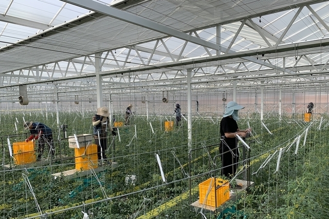 경북도, 농식품부 스마트농업 육성지구 지정 공모 선정