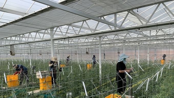 경북도, 농식품부 스마트농업 육성지구 지정 공모 선정