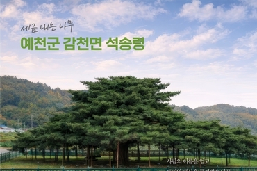 “그 자리에 오래 서 있던 것들”