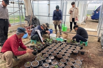 김천시, 고품질 호두 생산 기반 마련 및 산업 경쟁력 강화