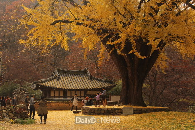 경주 운곡서원