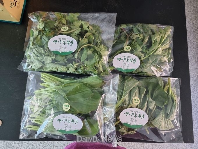 온라인마케팅으로 영양산나물 판매 열기 화끈